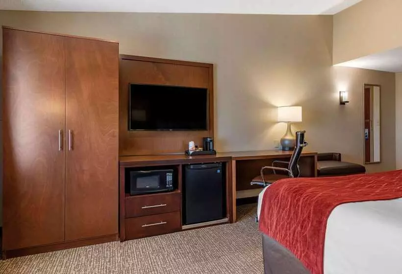 酒店 Comfort Inn Glenmontalbany South