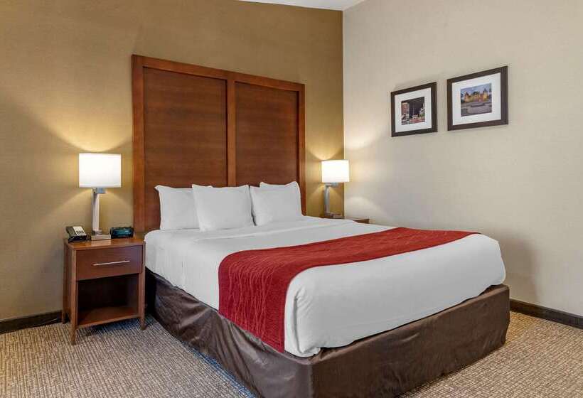 ホテル Comfort Inn Glenmontalbany South