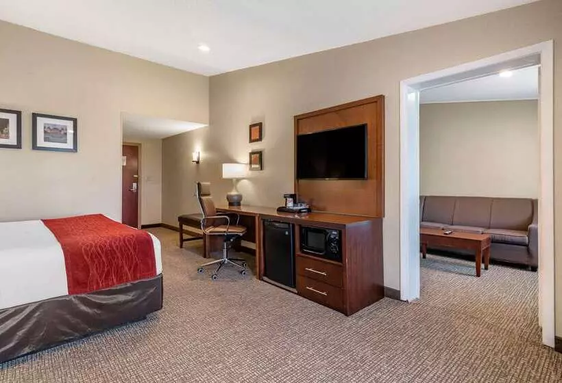 酒店 Comfort Inn Glenmontalbany South