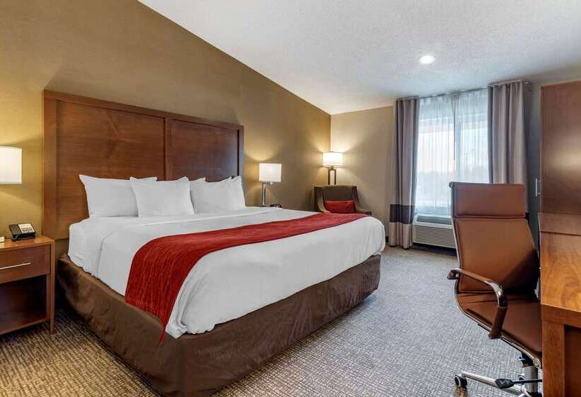 ホテル Comfort Inn Glenmontalbany South