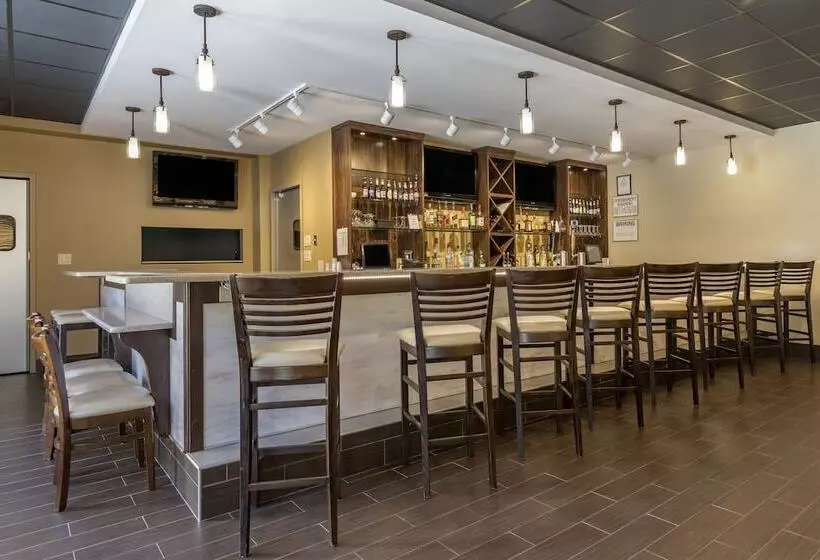 酒店 Comfort Inn Glenmontalbany South