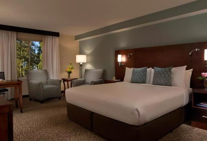 هتل Millennium Durham