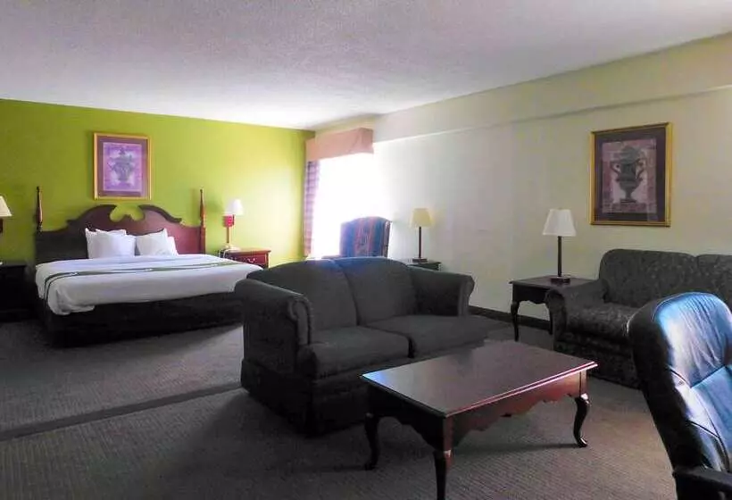 酒店 Quality Inn & Suites Thomasville