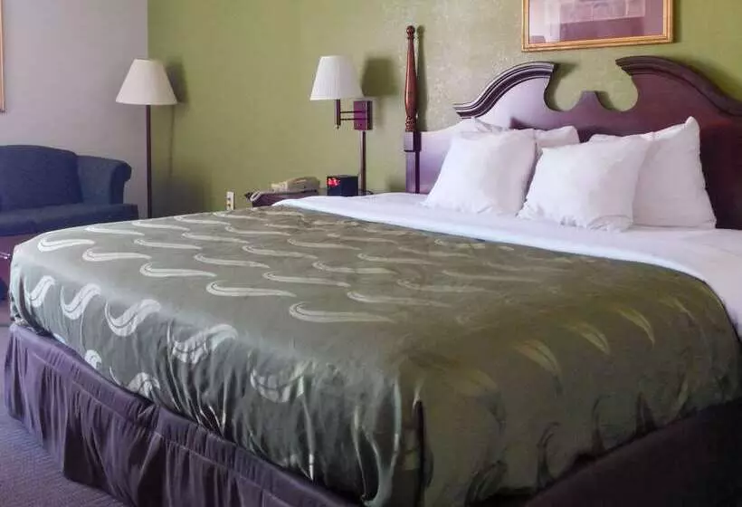 酒店 Quality Inn & Suites Thomasville