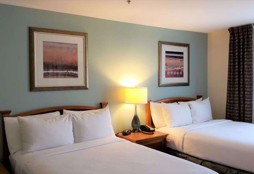 בית מלון כפרי Sonesta Es Suites San Antonio Northwest Medical Center