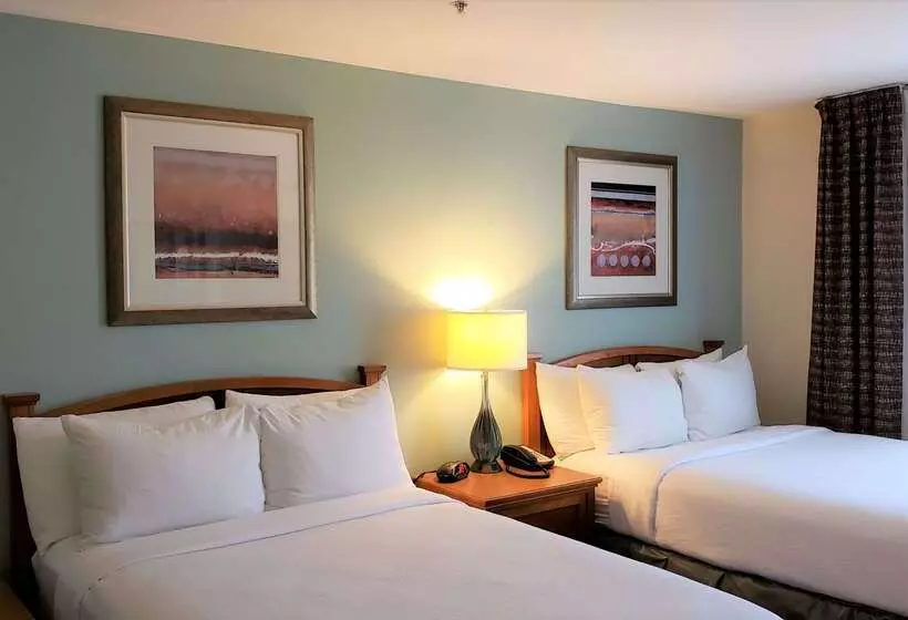 בית מלון כפרי Sonesta Es Suites San Antonio Northwest Medical Center