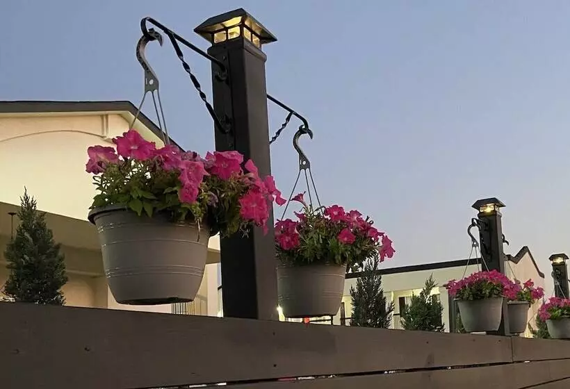 酒店 Stratus Suites Boutique