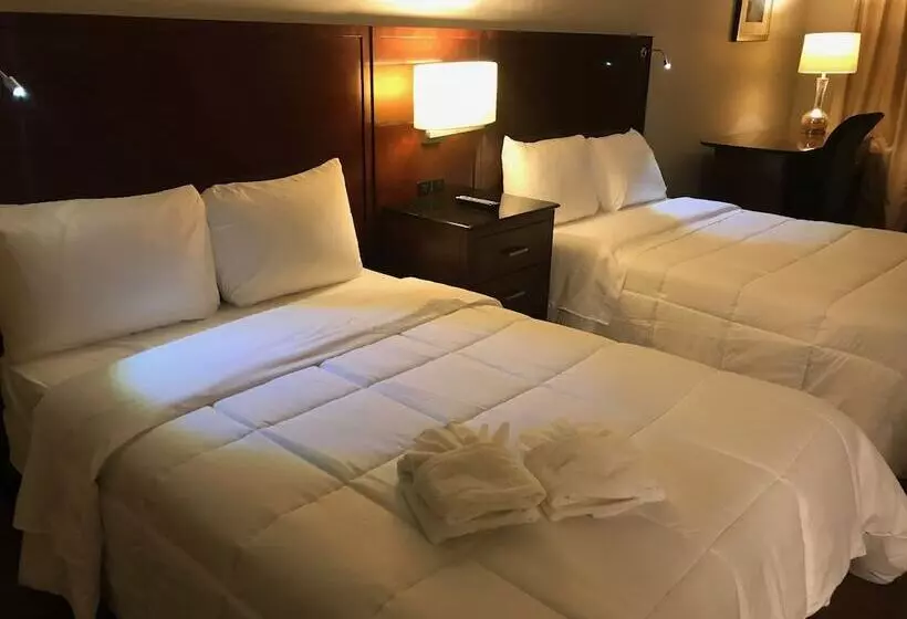 酒店 Stratus Suites Boutique