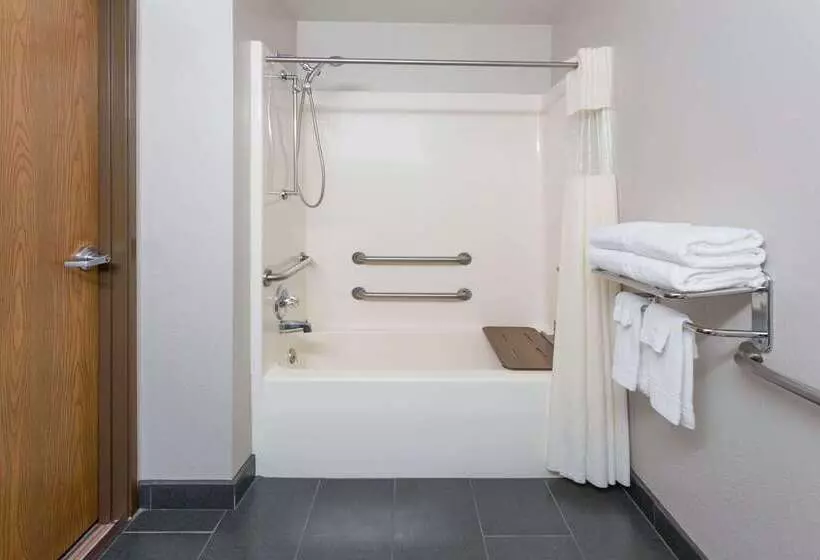 Microtel Inn And Suites By Wyndham Appleton