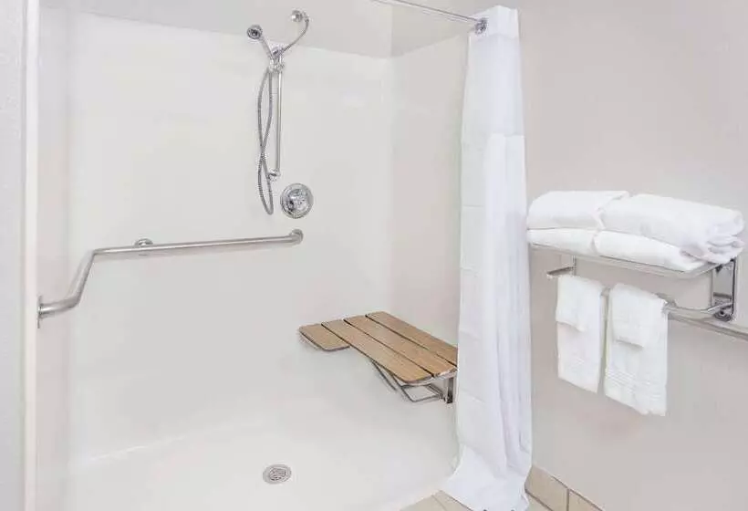 Microtel Inn And Suites By Wyndham Appleton