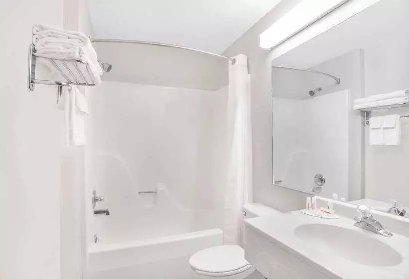 Microtel Inn And Suites By Wyndham Appleton