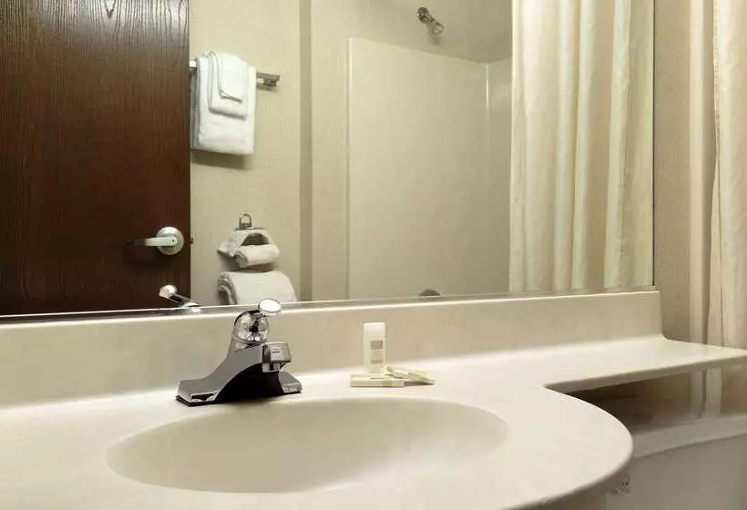 Microtel Inn & Suites By Wyndham Bloomington Msp Airport