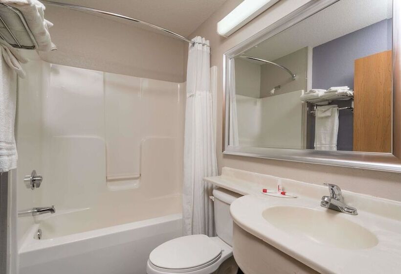 Microtel Inn & Suites By Wyndham Springfield