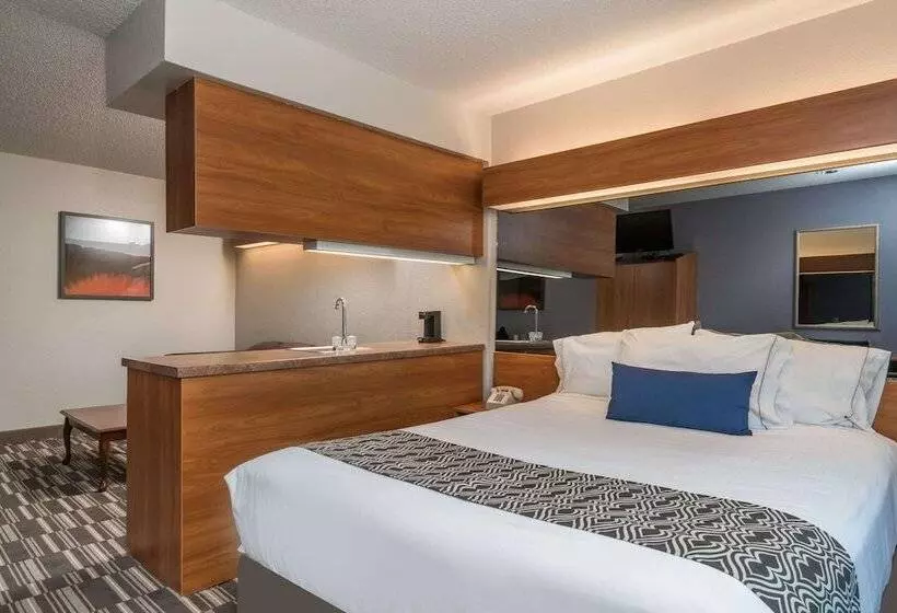 Microtel Inn & Suites By Wyndham Springfield