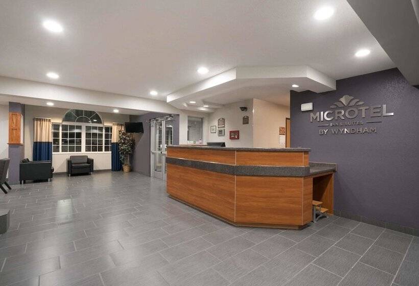 Microtel Inn & Suites By Wyndham Springfield