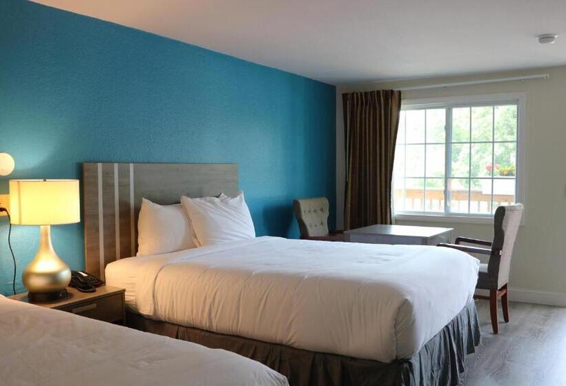 汽车旅馆  Sunbird Cape Cod Resort