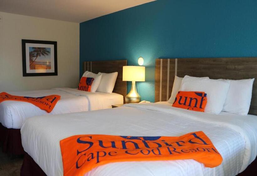 汽车旅馆  Sunbird Cape Cod Resort