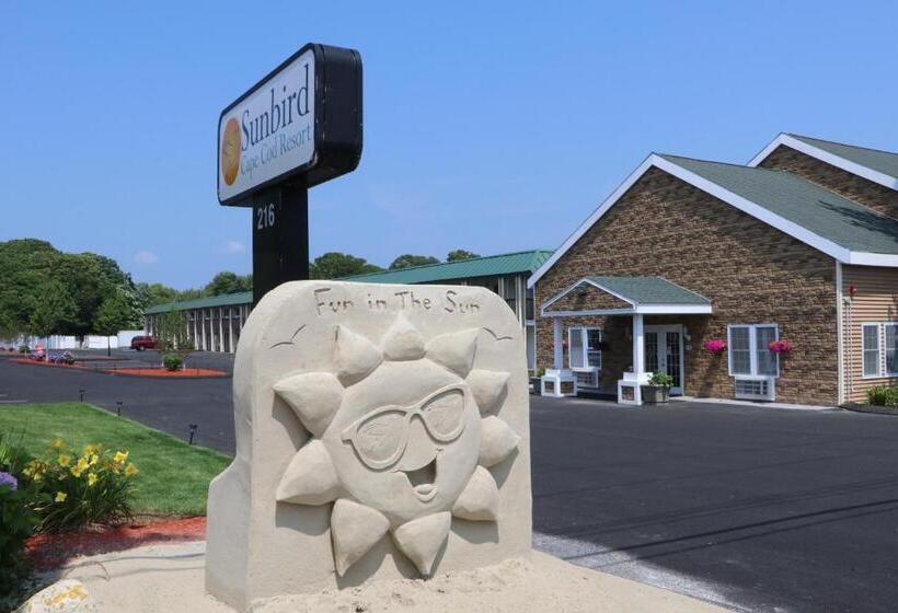 汽车旅馆  Sunbird Cape Cod Resort