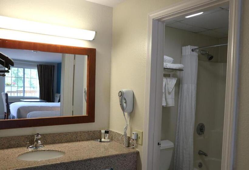 汽车旅馆  Sunbird Cape Cod Resort