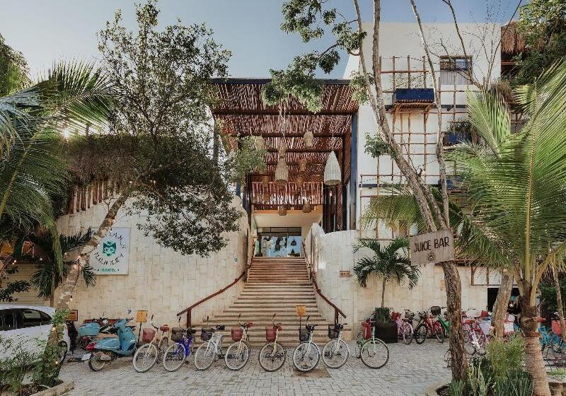 فندق صغير Mayan Monkey Tulum | Social