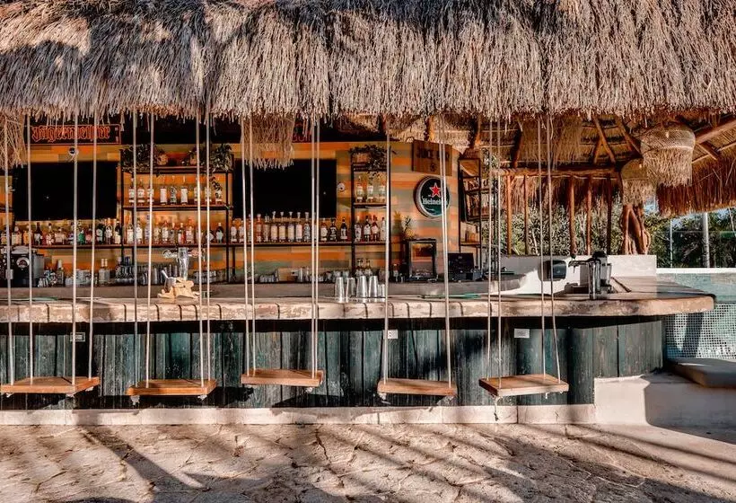 Retkeilymaja Mayan Monkey Tulum | Social