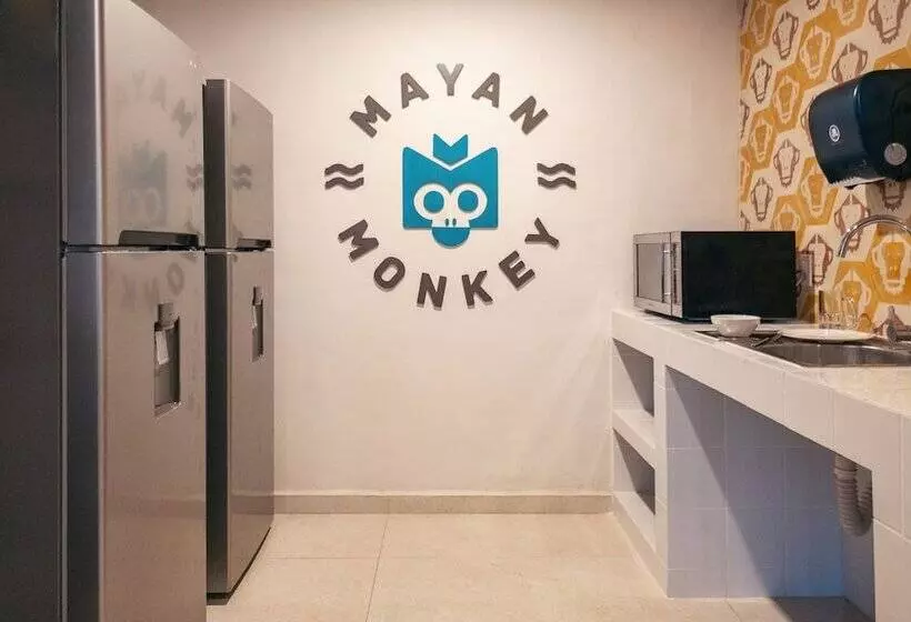 Retkeilymaja Mayan Monkey Tulum | Social