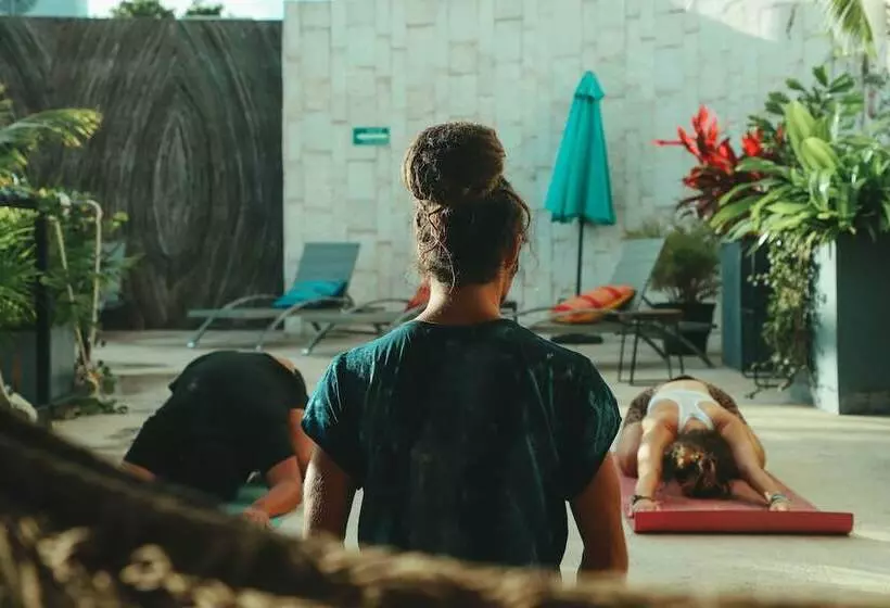 Retkeilymaja Mayan Monkey Tulum | Social