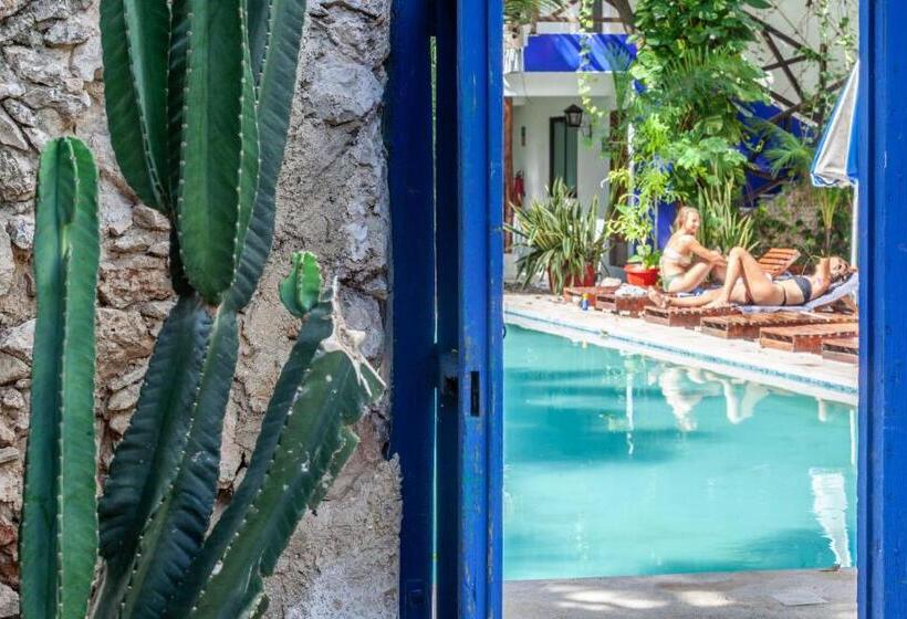 Che Nomadas Mérida Hostel Adults Only