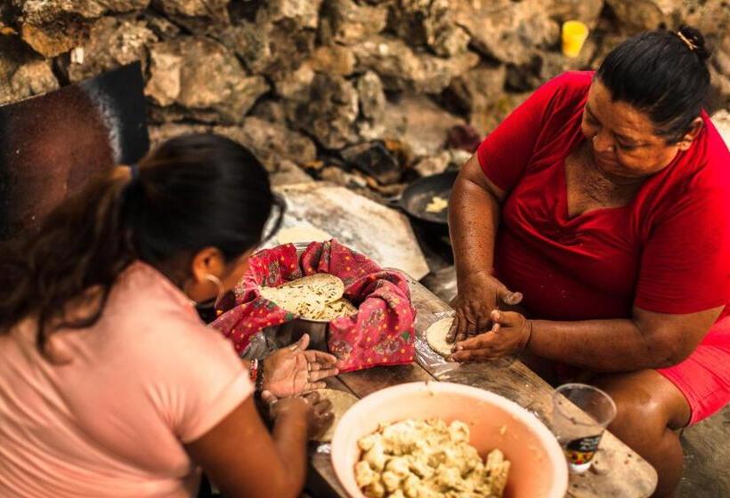 Che Nomadas Mérida Hostel Adults Only