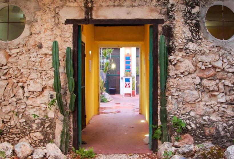 Che Nomadas Mérida Hostel Adults Only