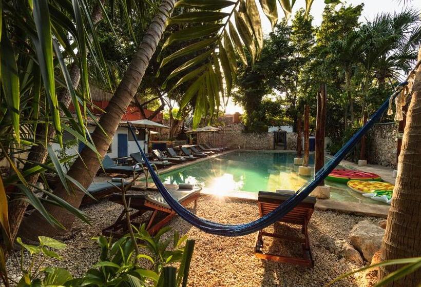 Che Nomadas Mérida Hostel Adults Only