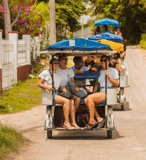 Che Nomadas Mérida Hostel Adults Only