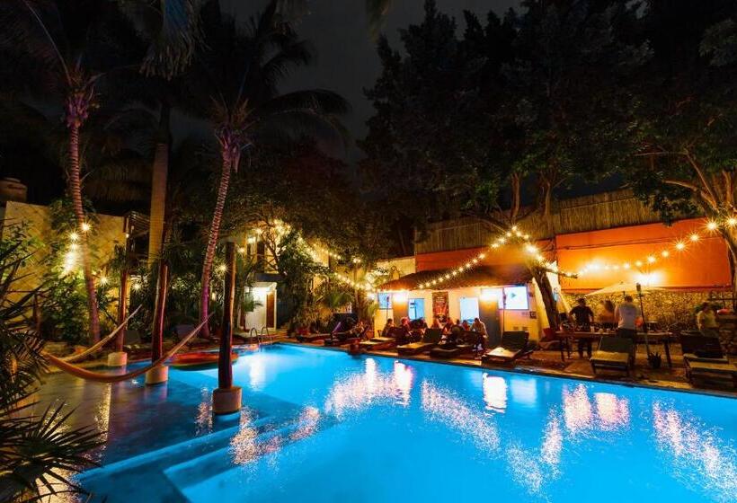 Che Nomadas Mérida Hostel Adults Only