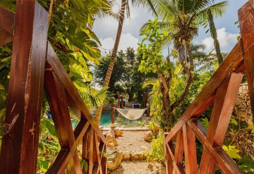 Che Nomadas Mérida Hostel Adults Only