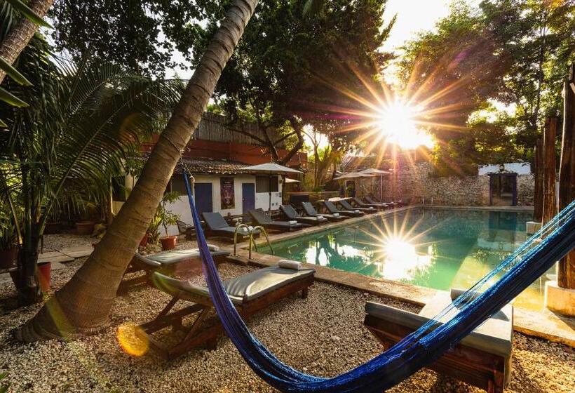 Che Nomadas Mérida Hostel Adults Only