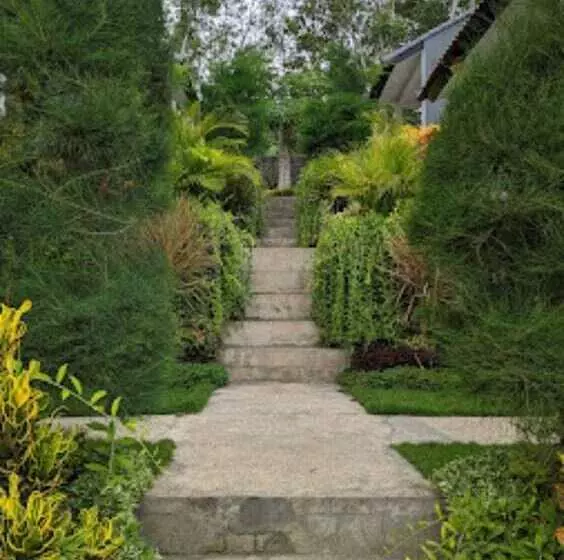 Hostelli Singgahan Bungalow By Ecommerceloka