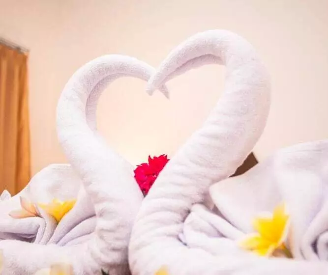 Hostelli Singgahan Bungalow By Ecommerceloka