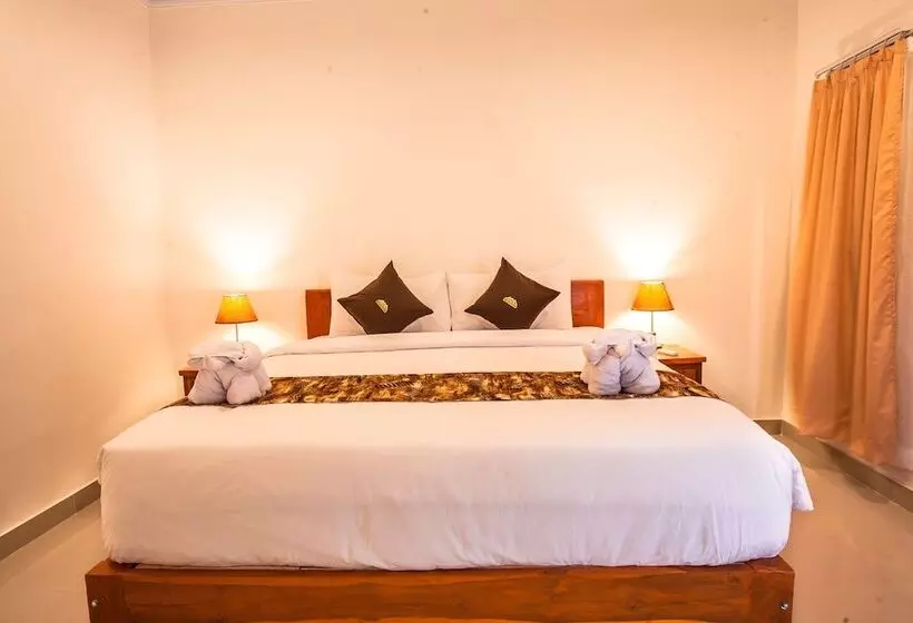 Hostelli Singgahan Bungalow By Ecommerceloka