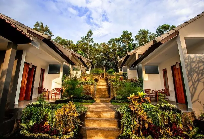 Hostelli Singgahan Bungalow By Ecommerceloka