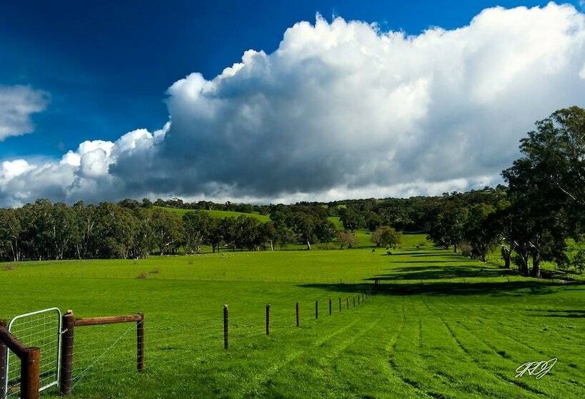 Отель Anmol Resorts