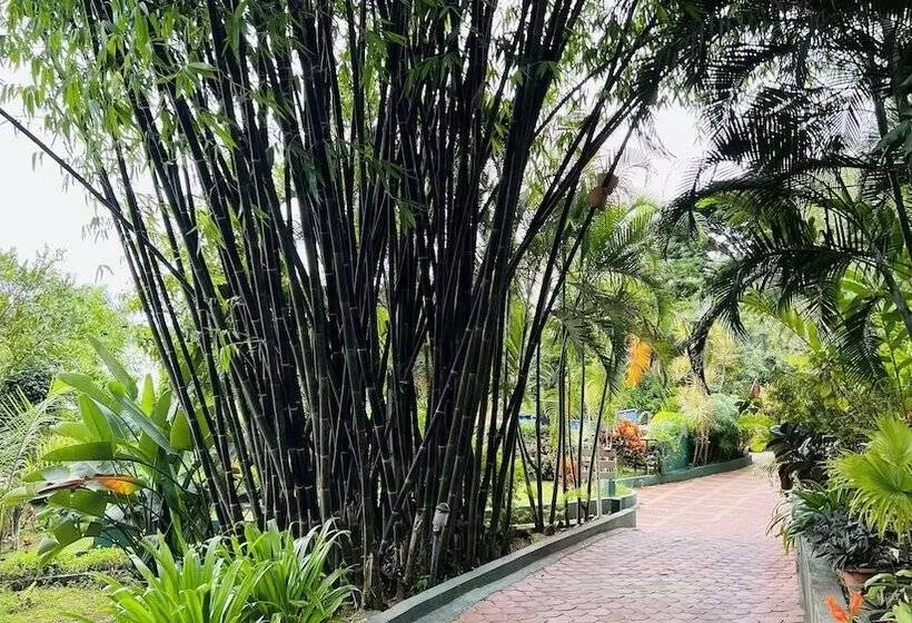 Hotelli Coorg Jungle Camp Backwater Resort