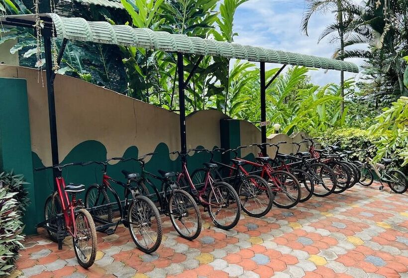 酒店 Coorg Jungle Camp Backwater Resort