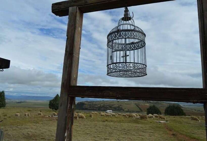 ホテル Ladybrand Khaya Farm Lodge