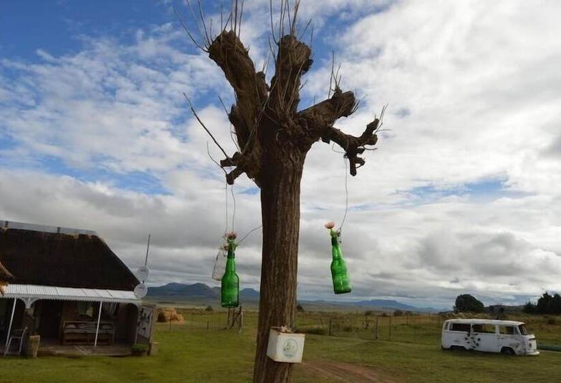 ホテル Ladybrand Khaya Farm Lodge