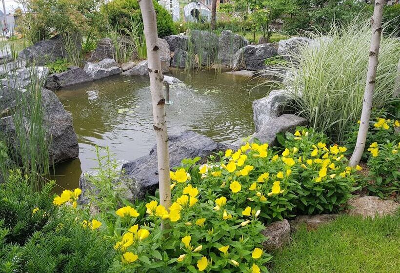 Отель Pique Nique Pension