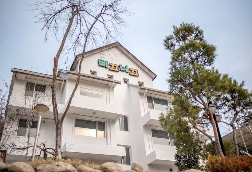 Отель Pique Nique Pension