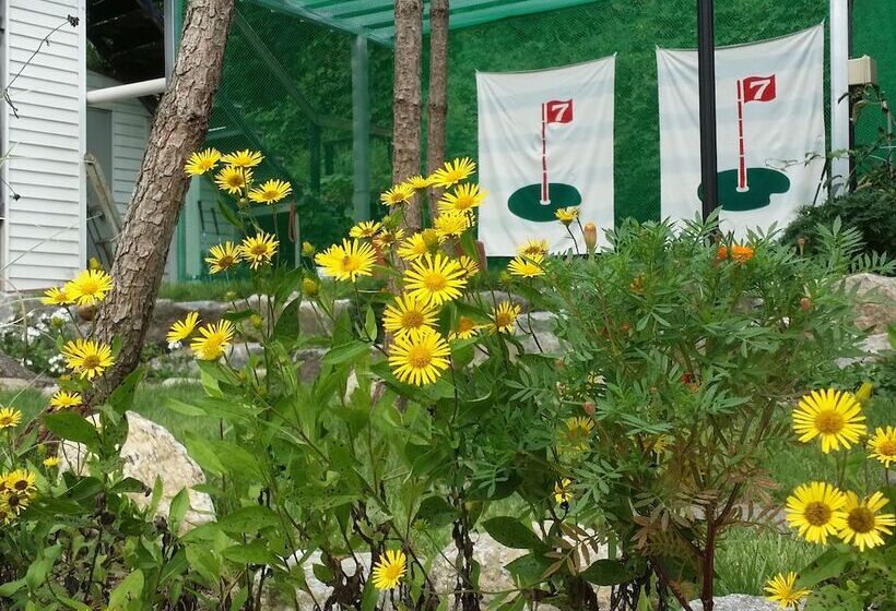 Отель Pique Nique Pension