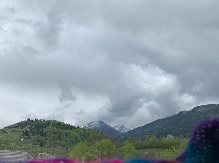 هتل روستایی Pensiunea Simi