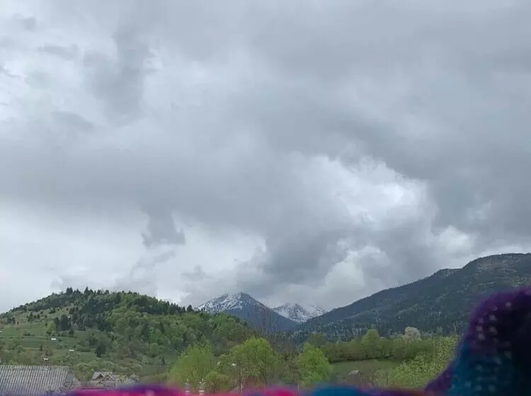 田舎風ホテル Pensiunea Simi