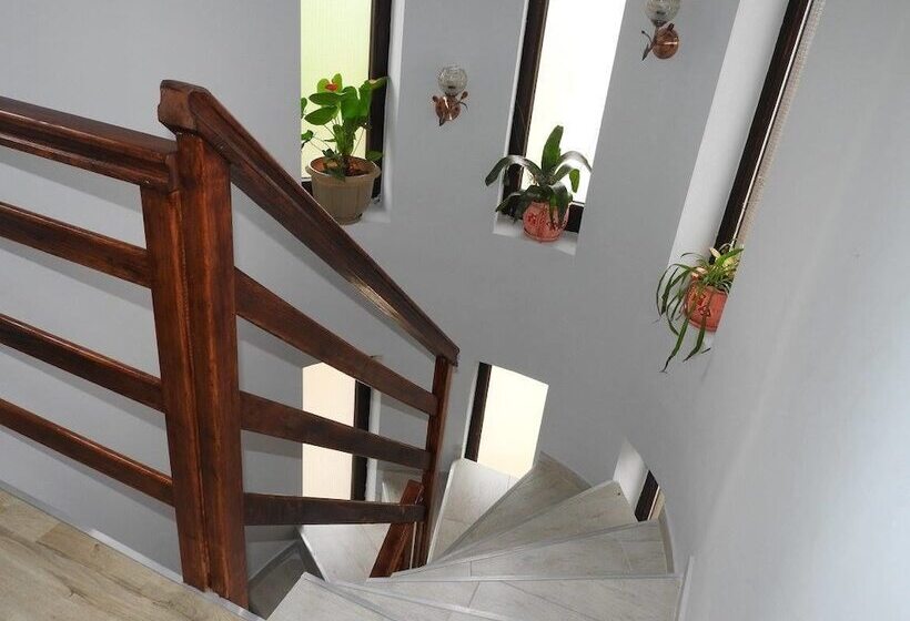 هتل روستایی Pensiunea Simi